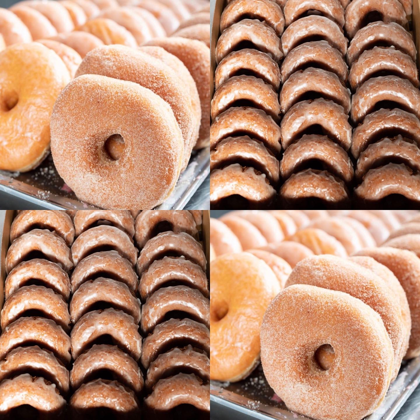 Top Pot Doughnuts