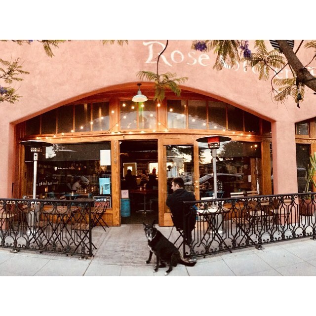 The Rose Wine Bar