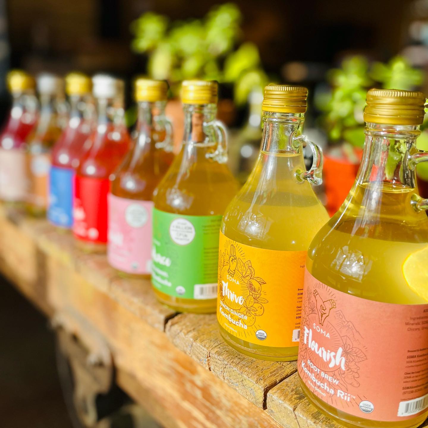 SOMA Kombucha